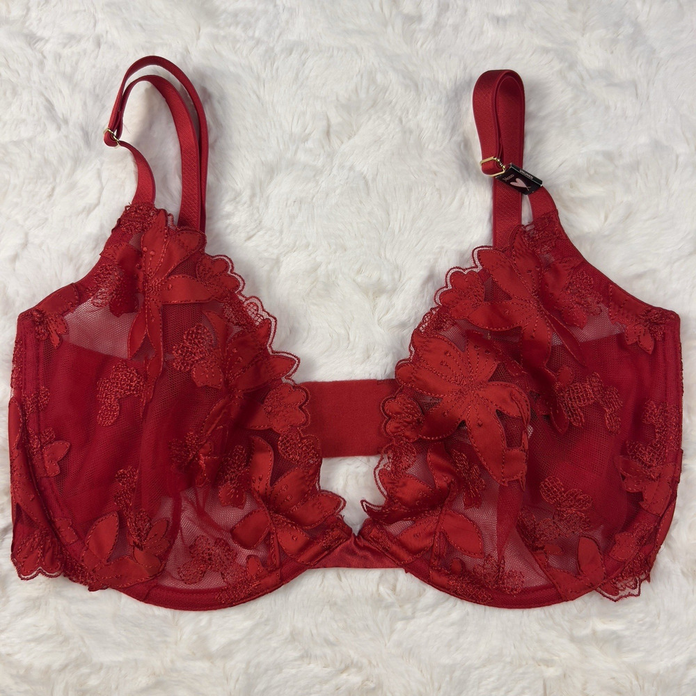 Victoria’s Secret Unlined Plunge‎ Bra 34D Red Floral Lace Sheer Underwire NWT